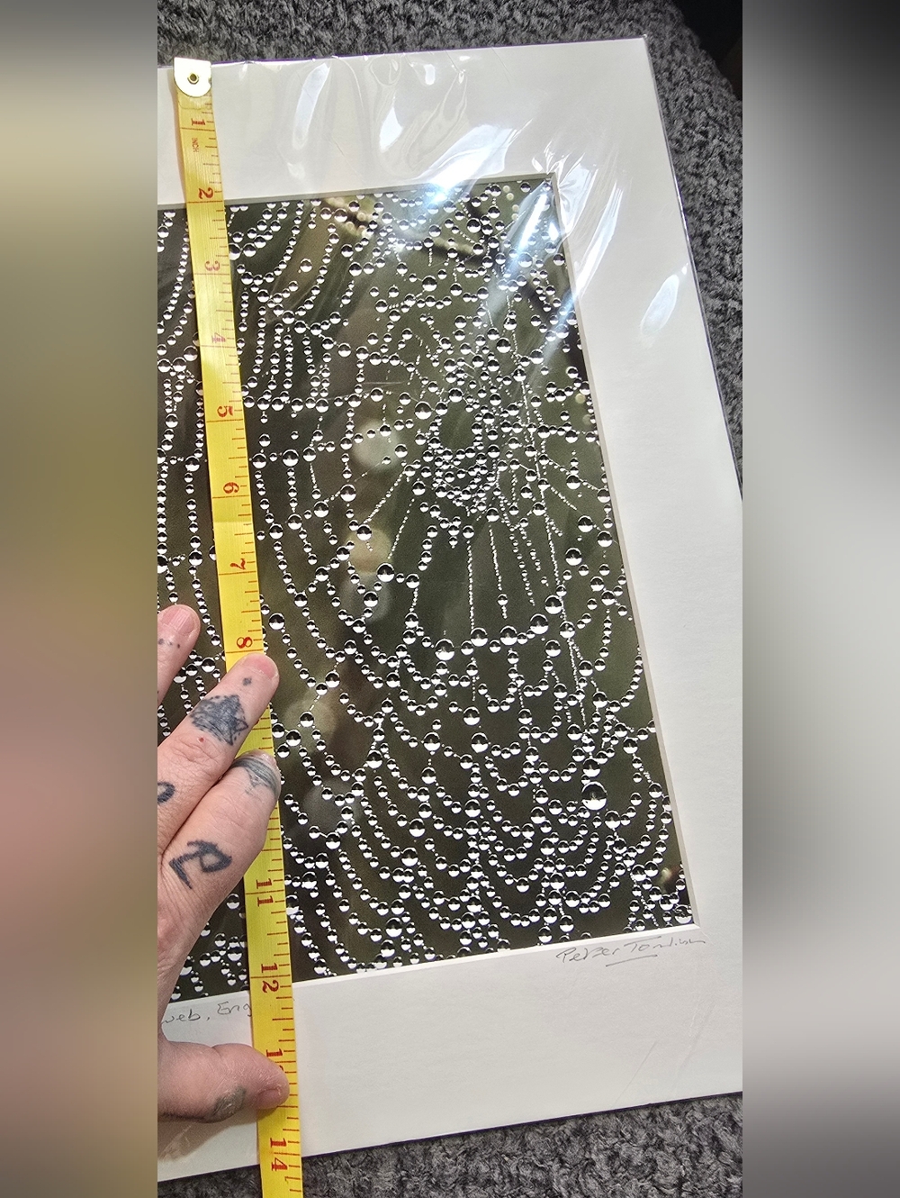Signed Spiderweb Photography Print Peter Tomlinson Nature Wall Art Matted Surrey - Picture 7 of 7